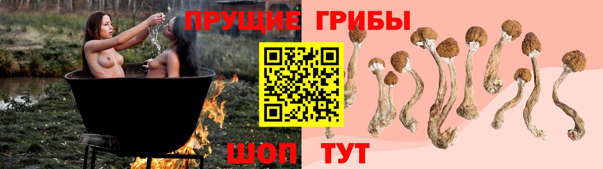 Камышин  Галлюциногенные грибы ЛСД  Вход с VPN 